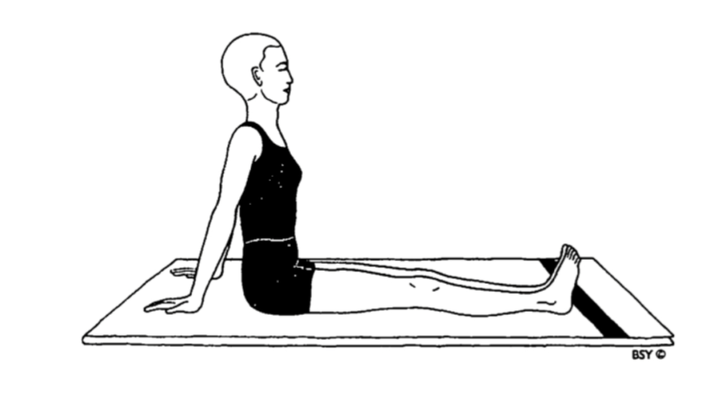 Hip Rotation in Yoga - Shroni Chakra sitting position. Know all about Hip Rotation in Yoga - Shroni Chakra, how to do Hip Rotation in Yoga - Shroni Chakra, its benefits, and precautions.