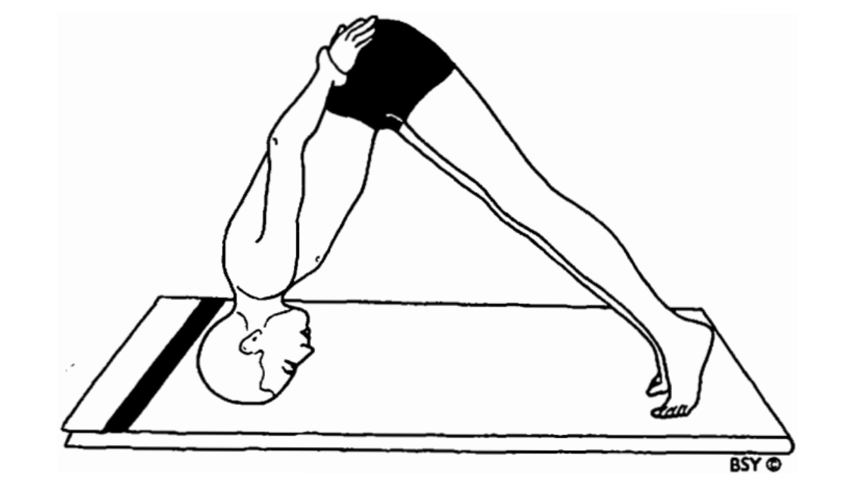 Bhumi Pada Mastakasana - Half Headstand In Yoga, How to do Bhumi Pada Mastakasana - Half Headstand In Yoga, Benefits of Bhumi Pada Mastakasana - Half Headstand In Yoga, Precautions, & a note for yoga practitioners